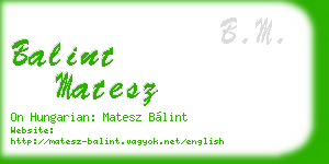 balint matesz business card